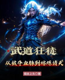 熔炉镇九霄:武道狂徒踏碎修仙路